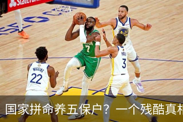 国家拼命养五保户？一个残酷真相：养他们其实是养全社会的底气