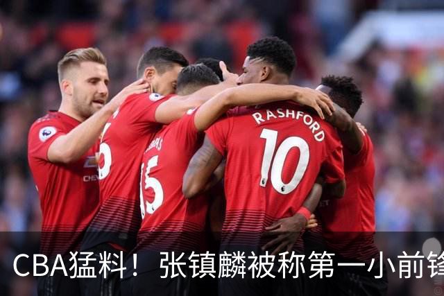 CBA猛料！张镇麟被称第一小前锋，麦基比赛态度变好，拉塞尔伤病出炉